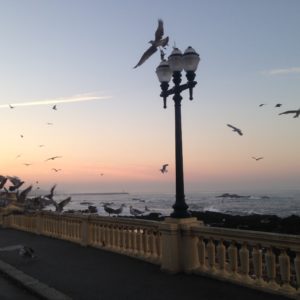 Beach of Matosinhos